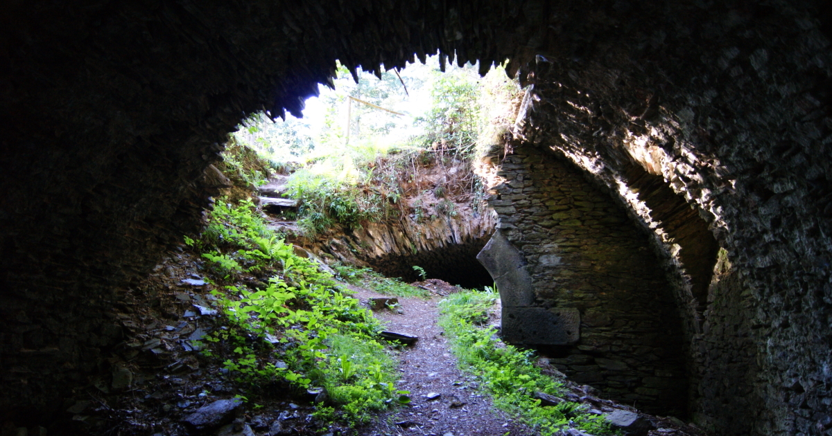 Festungsruine Mont Royal über Traben-Trarbach