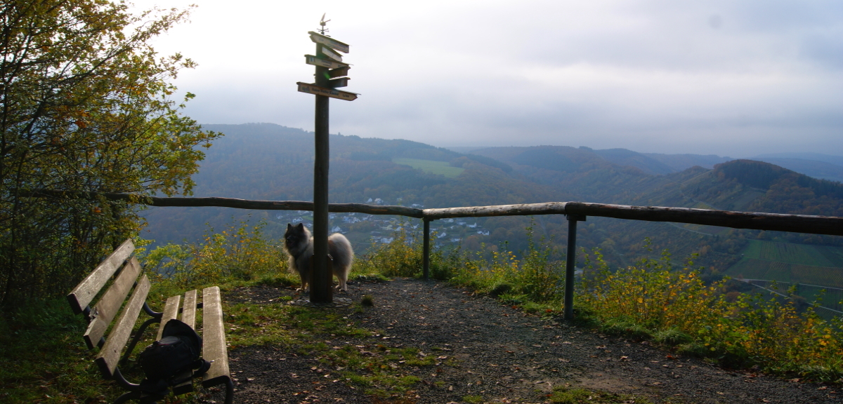 Aussicht vom Moselsteig Traben-Trarbach